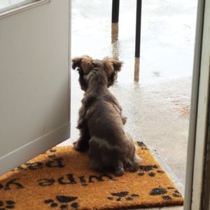 Meet your Posher, Between Worlds!